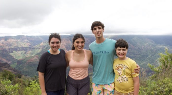 Four children - 2 girls and 2 boys posing on top of a mountain