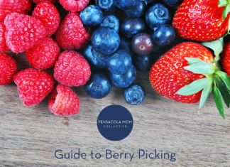 guide to berry picking