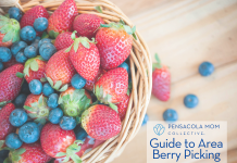a wicker basket filled with strawberries and blueberries with text "Pensacola Mom Collective Guide to Area Berry Picking"