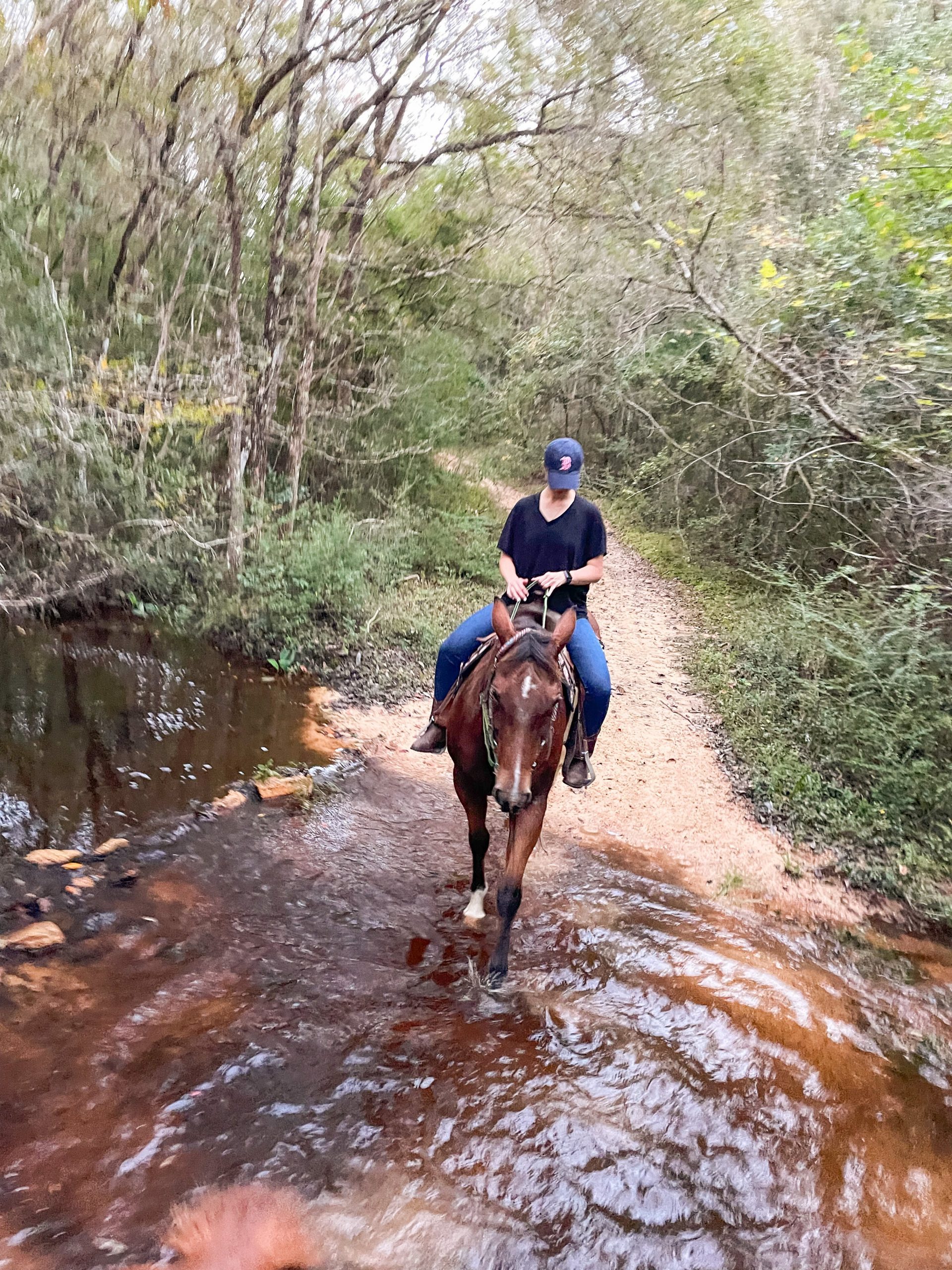 woman riding a horse through a stream