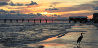 orange beach, alabama at sunset